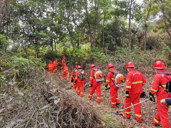 森林火灾的预防