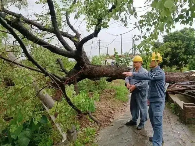Guangzhou Issues Dual Emergency Response for Hail and Tornadoes; Baiyun District Tornado Kills 5, In