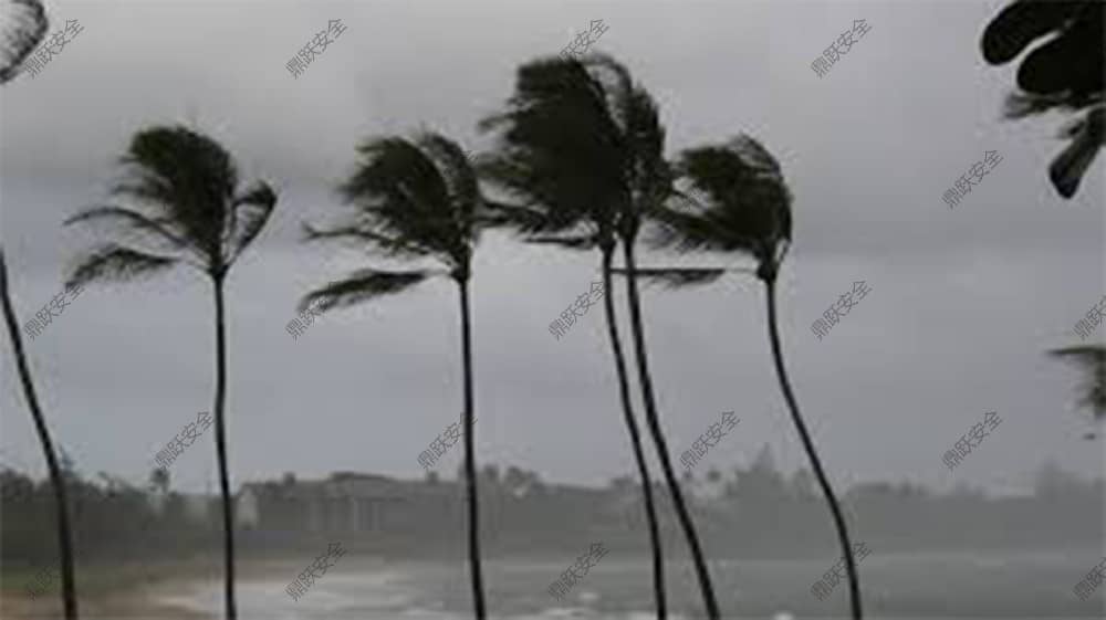 中央气象台：东海热带低压与台风“贝碧嘉”最新预报