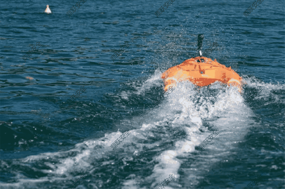 Remote-Controlled Life Buoy: Smart Equipment for Enhanced Rescue Efficiency