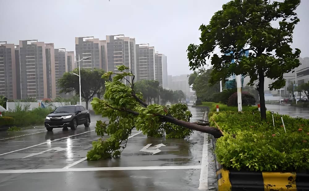 台风“潭美”，海南省气象局发布台风四级预警