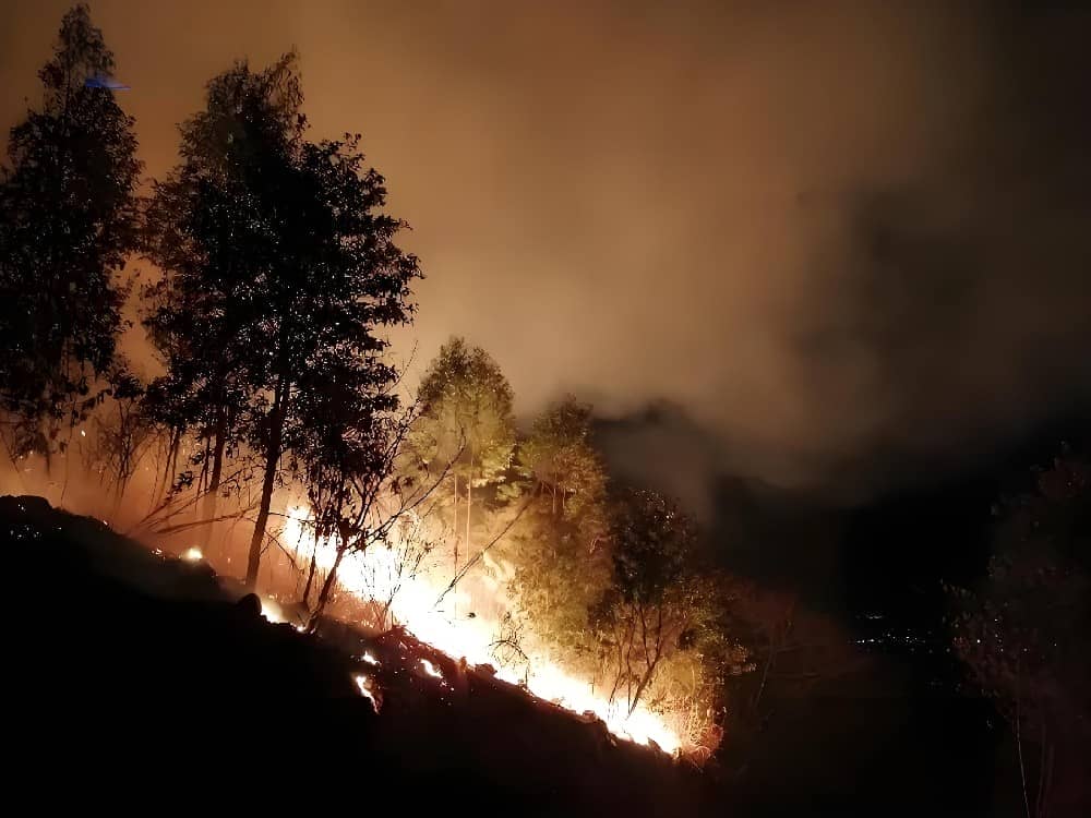广东肇庆山火600余人员参与救援