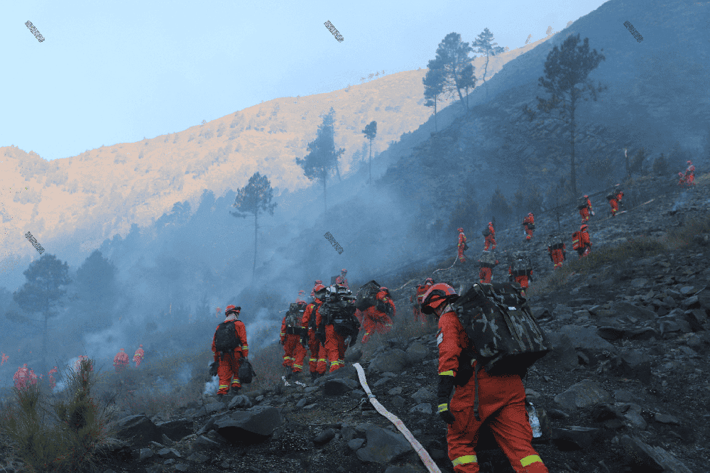 森林消防高压灭火泵:精准打击火源的中坚力量