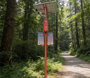 森林防火与自然资源监管：光伏监控杆的关键作用