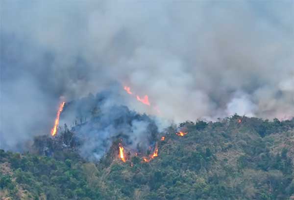 山高路远火情急，森林消防高压灭火泵破解送水难题