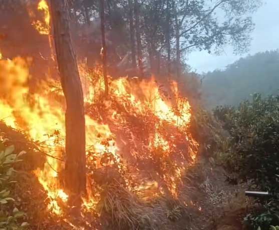 水源有限灭火难？高压细水雾技术提升每滴水效率