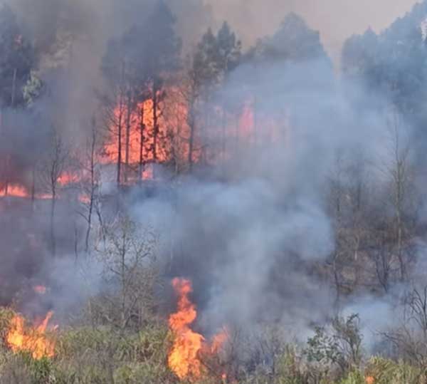 山区高差灭火难？高扬程水泵破解供水难题