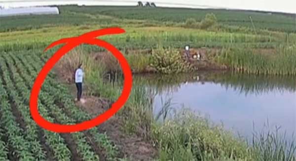 别让鱼竿变成“夺命杆”！高压线下垂钓暗藏致命风险