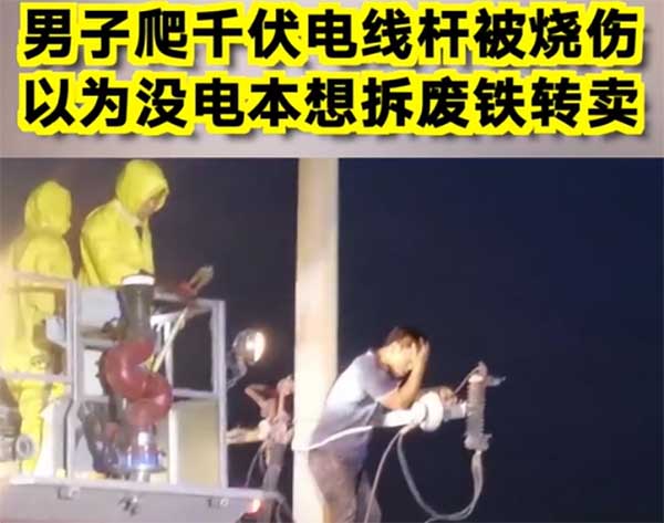 让电力风险止于萌芽！智能警示器让危险看得见、听得清