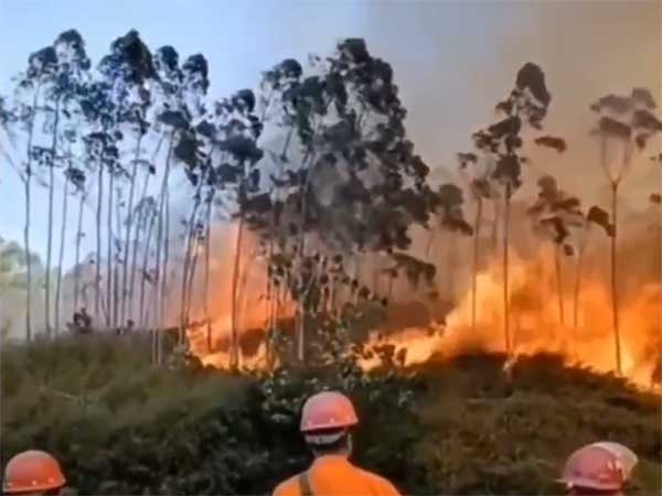 森林复杂地形难扑救？消防高压灭火泵打通供水关键