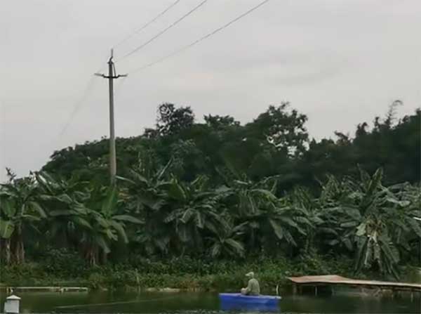 告别人工反复巡查！防垂钓智能警示杆，让高压危险无处遁形