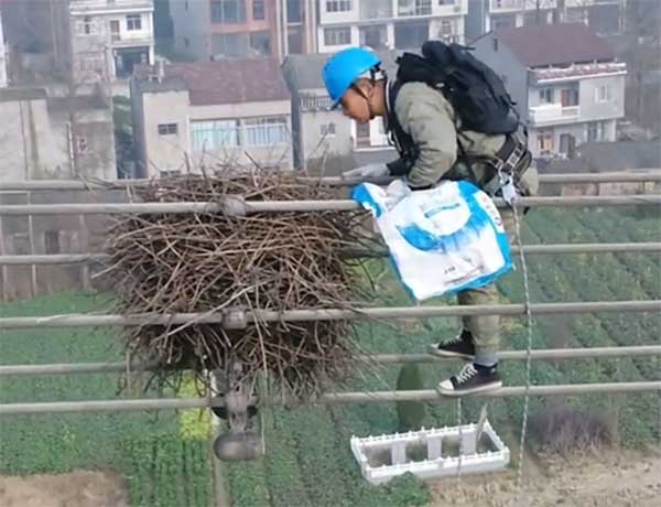 高空鸟巢暗藏安全隐患，杆塔AI识别装置精准防控